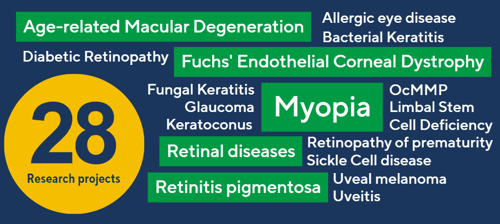 project areas funded by Sight Research UK by category, including AMD, myopia and others