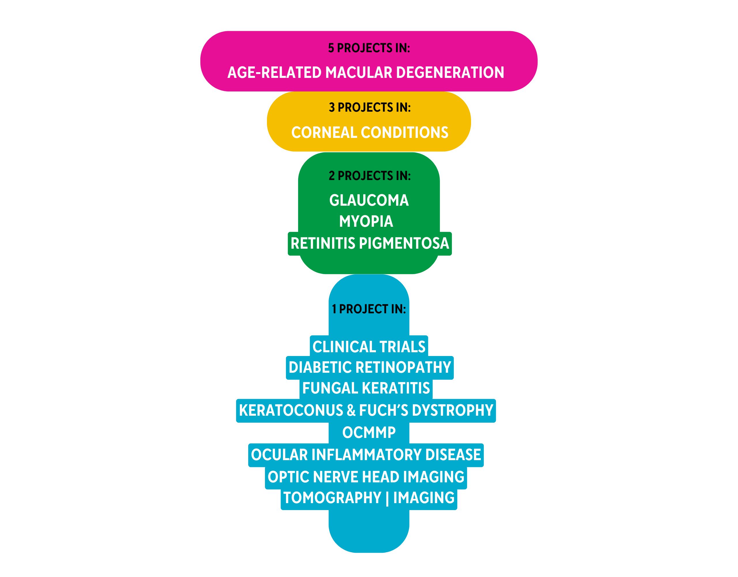 A vertical graph displaying the project topics for all the Sight Research UK projects funded in 2023-24, such as glaucoma, myopia, clinical trials and other areas. Full list in text.