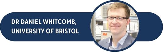 Headshot of Dr Daniel Whitcomb, University of Bristol